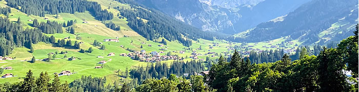 Adelboden Wheelchair German Canton Accessible Switzerland Tours