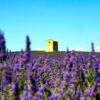 Provence Wheelchair France Accessible Holiday Package