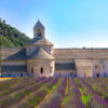 Provence Wheelchair France Accessible Holiday Package